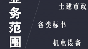 造价员代做标书的地下市场价格体系